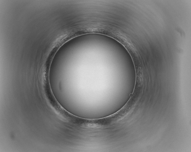 X0000115830590200911271201