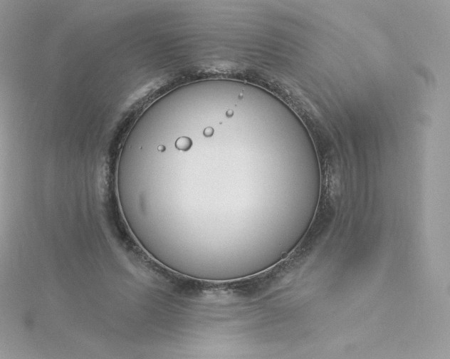 X0000115830591200911271201