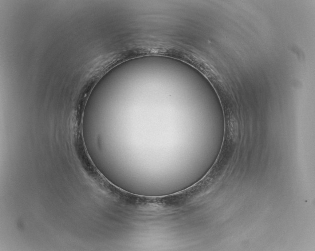 X0000115830594200911271201