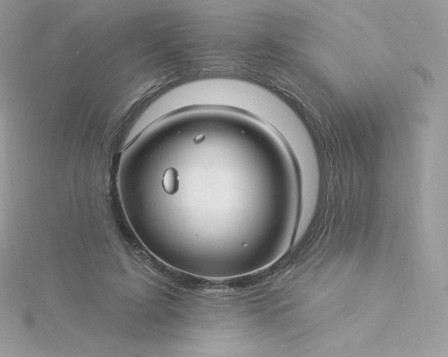 X0000115830595200911271201