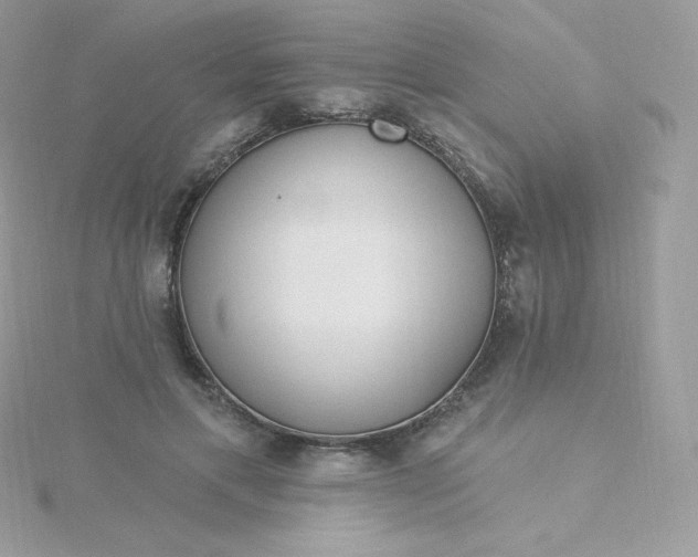 X0000115830597200911271201