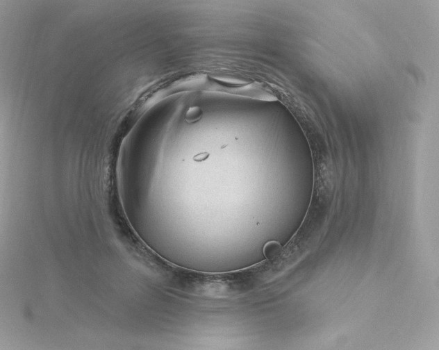 X0000115830600200911271201