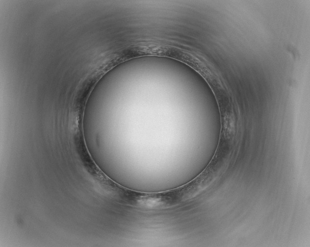 X0000115830602200911271201