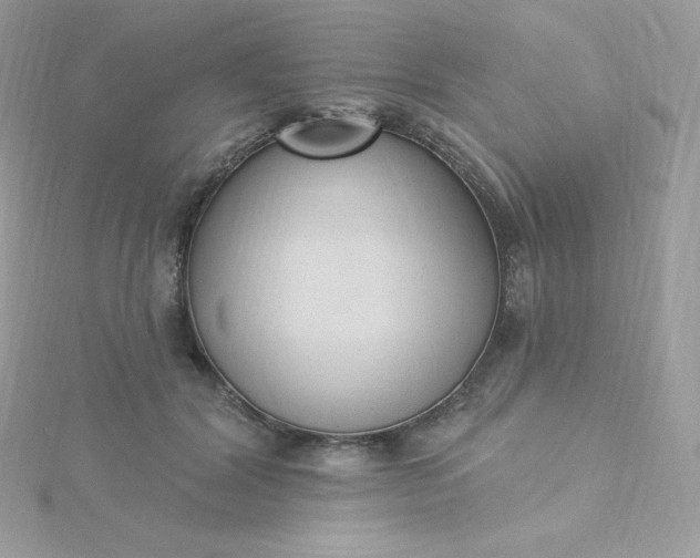 X0000115830604200911271201