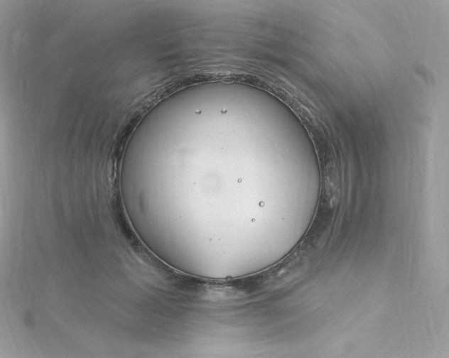 X0000115830605200911271201