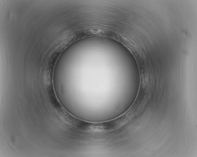 X0000115830606200911271201