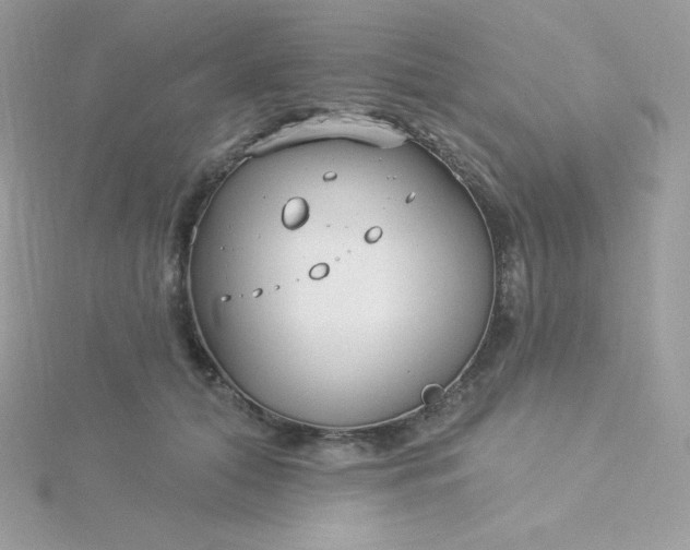 X0000115830608200911271201