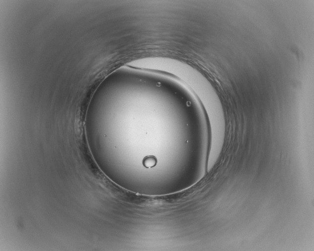 X0000115830609200911271201