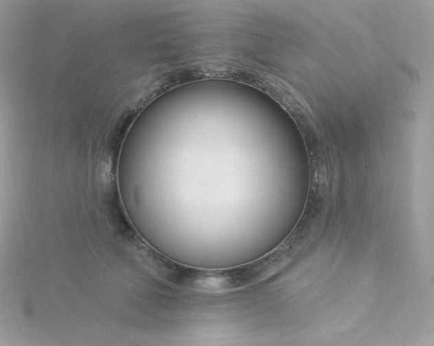 X0000115830610200911271201