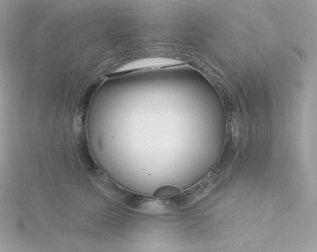 X0000115830611200911271201