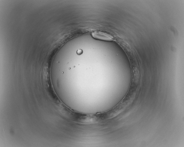 X0000115830612200911271201