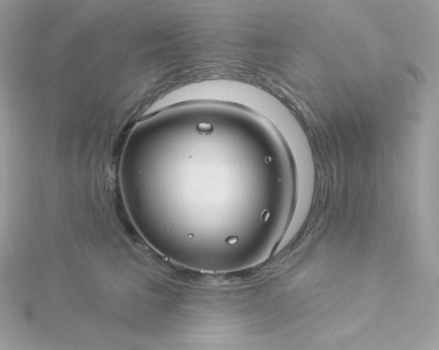 X0000115830613200911271200