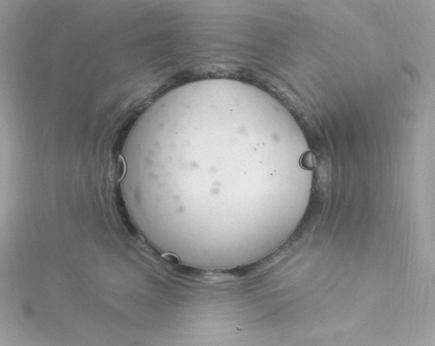 X0000115830617200911271200