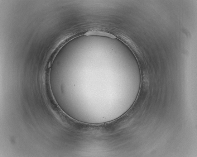 X0000115830626200911271200