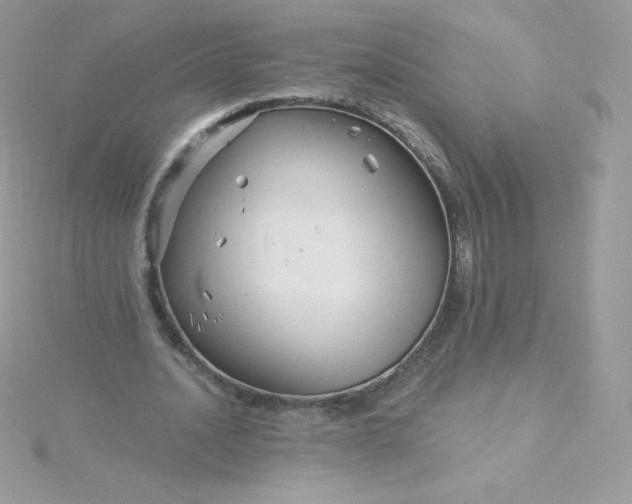 X0000115830628200911271200