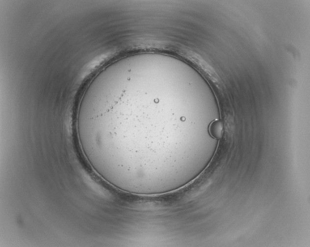 X0000115830629200911271200