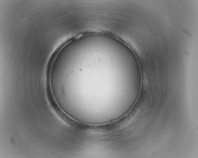 X0000115830630200911271200