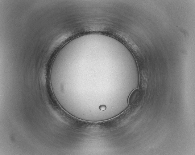 X0000115830631200911271200