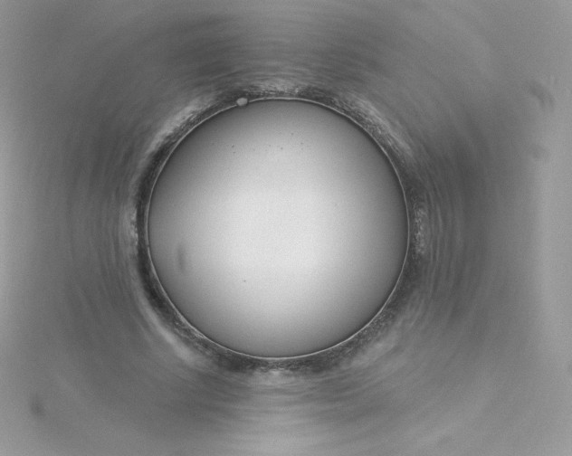 X0000115830634200911271200