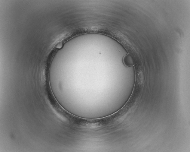 X0000115830638200911271200