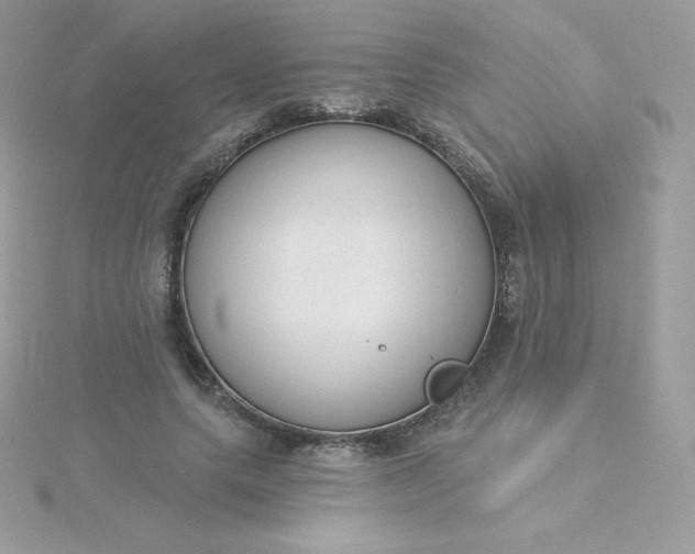 X0000115830639200911271200