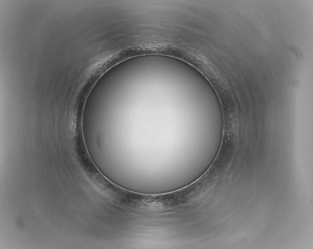 X0000115830640200911271200