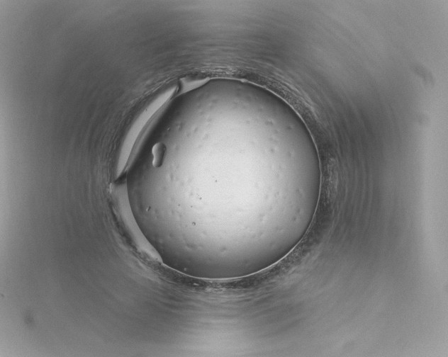 X0000115830641200911271200