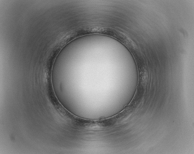 X0000115830643200911271200