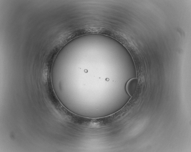 X0000115830647200911271200