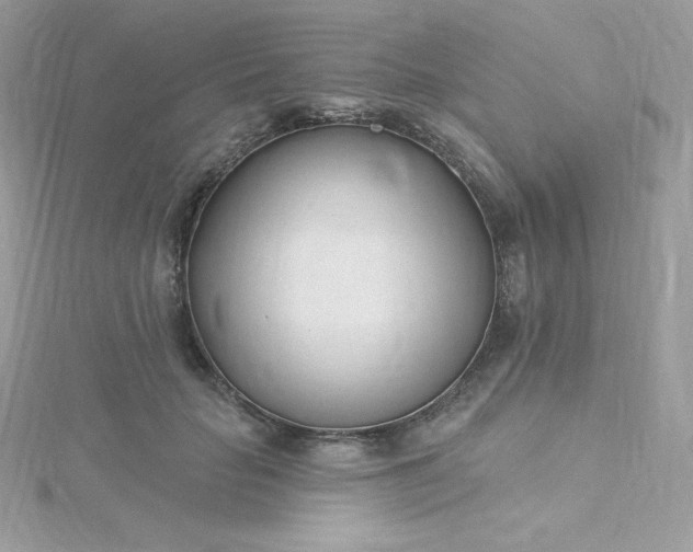 X0000115830653200911271200