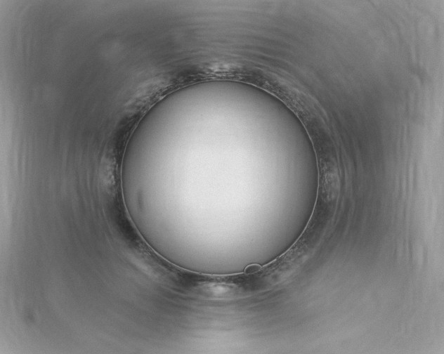 X0000115830654200911271200