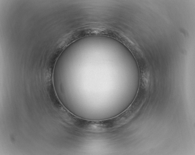 X0000115830657200911271200