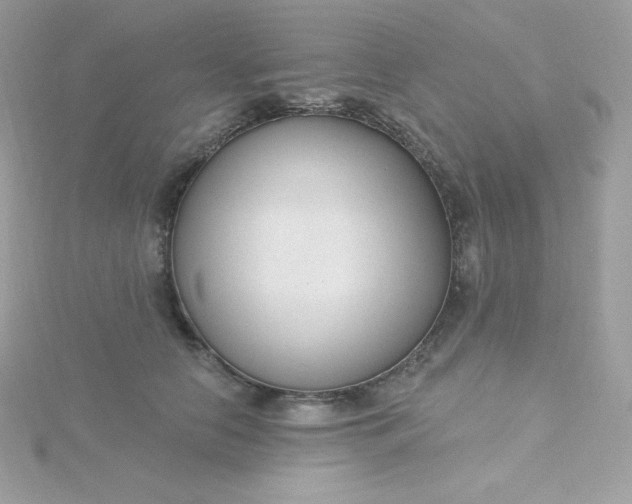 X0000115830658200911271200