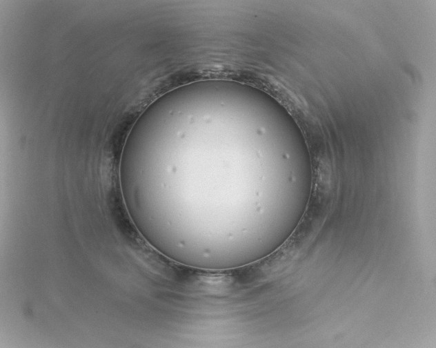 X0000115830659200911271200