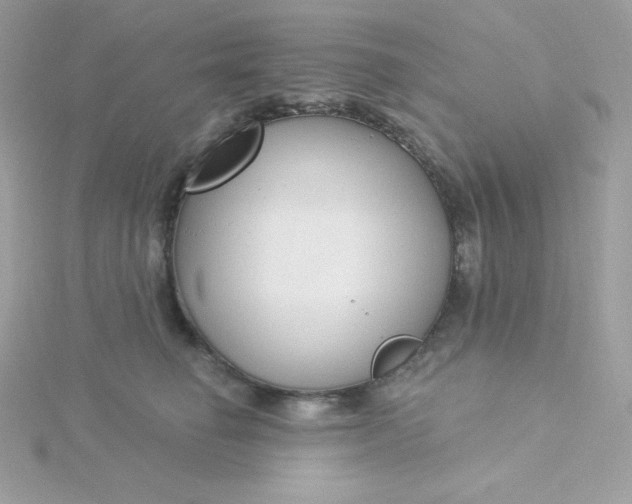 X0000115830662200911271200