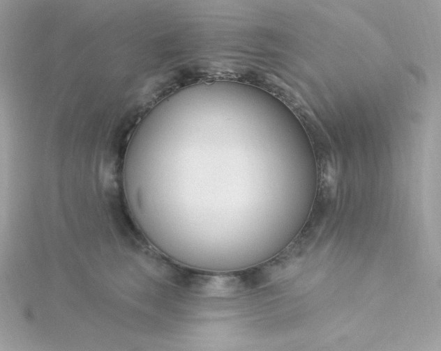 X0000115830663200911271200