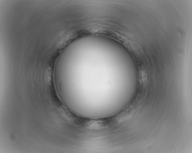 X0000115830664200911271200