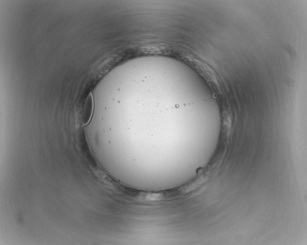 X0000115830665200911271200