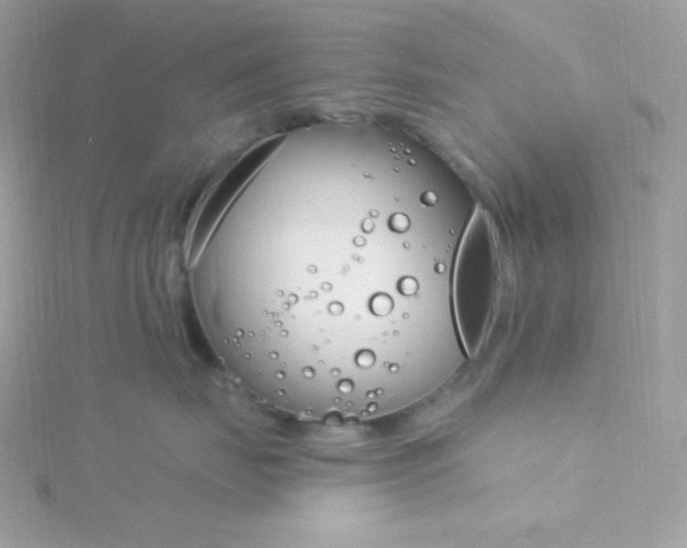 X0000115830671200911271200