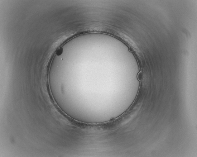 X0000115830673200911271200