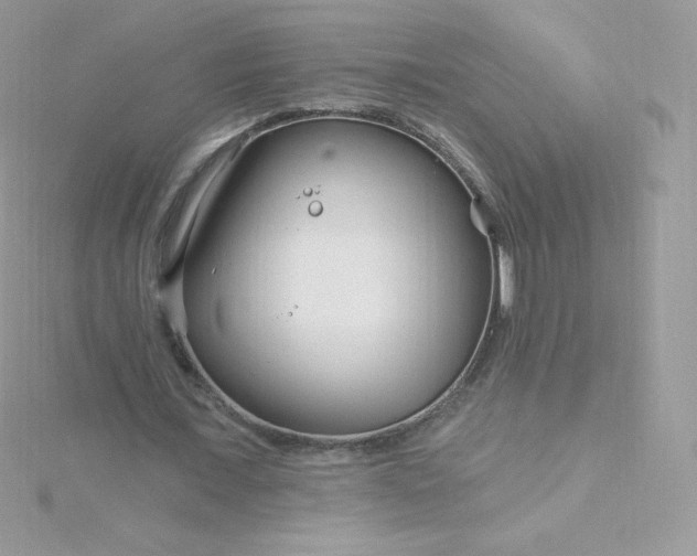 X0000115830675200911271200