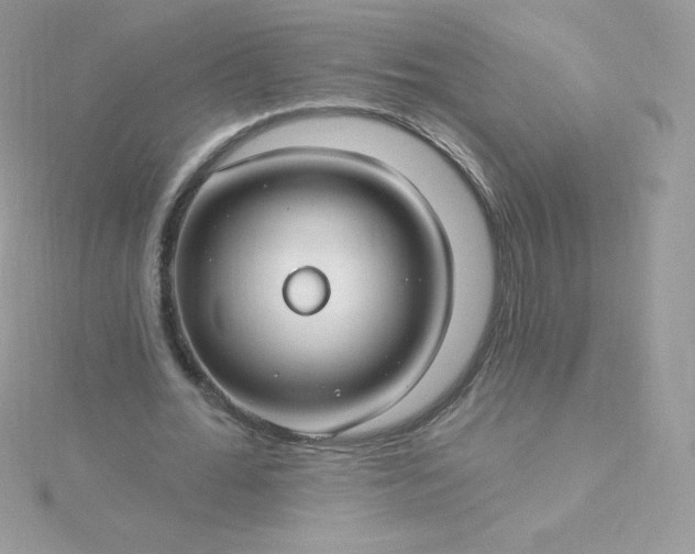 X0000115830676200911271200