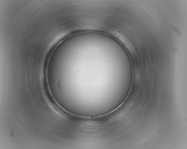 X0000115830677200911271200