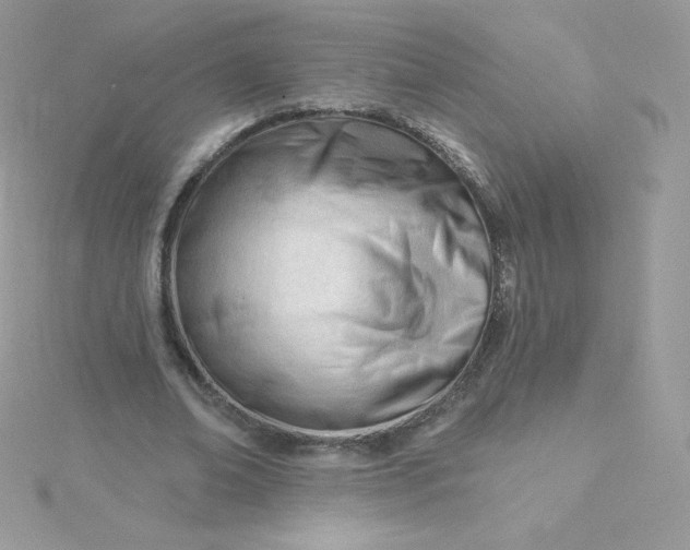 X0000115830678200911271200