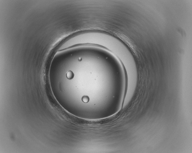 X0000115830680200911271200