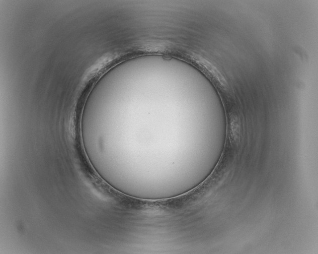 X0000115830682200911271200