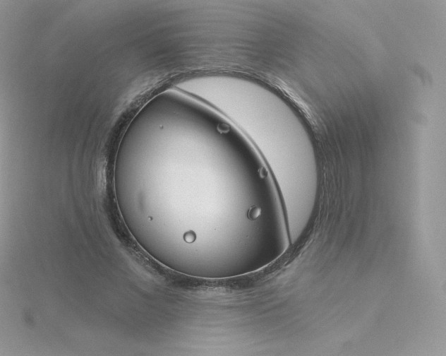 X0000115830685200911271200