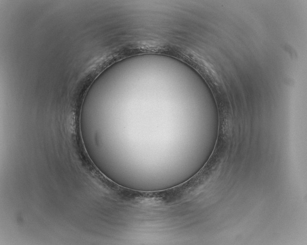 X0000115830689200911271159