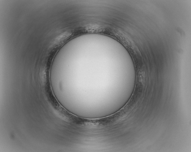 X0000115830690200911271159