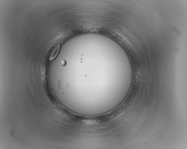 X0000115830693200911271159